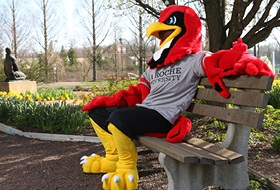 LRU Redhawk sitting on a bench outside of the library